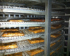 FSL300 Spiral Freezer with Stainless Steel Materials /Instant Freezing Machinery for Frozen SeaFood From China First Cold Chain 