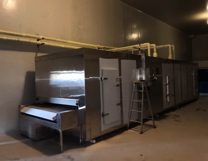 Tunnel Freezer 150kg/h with Stainless Steel Belt, Suitable for food factory 
