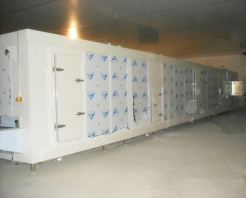 China High Quality FSW200 Tunnel Freezer for Dumplings Processing