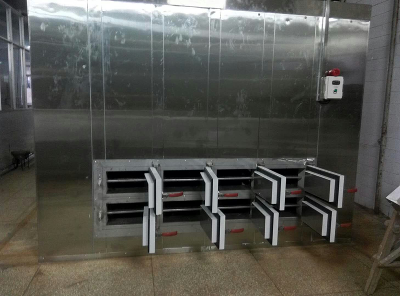 Frist Cold Chain 用於大塊產品加工的節能推進式冷凍機 