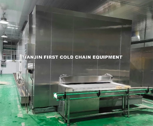 Operation and application characteristics of tunnel freezer