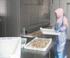 Impingement Tunnel Freezer for Shrimp/Fish/Meat/Seafood