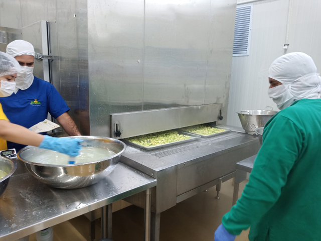 China High Quality 200kg/h IQF Tunnel Freezer for IQF Avocadoes Processing