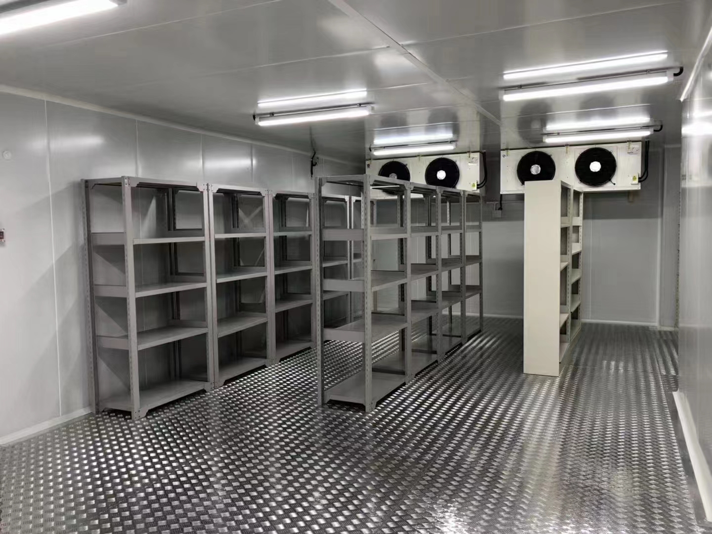 Cool Room/Cool Storage with Bitzer Refrigerator Compressor Unit for Vegetable Storage 
