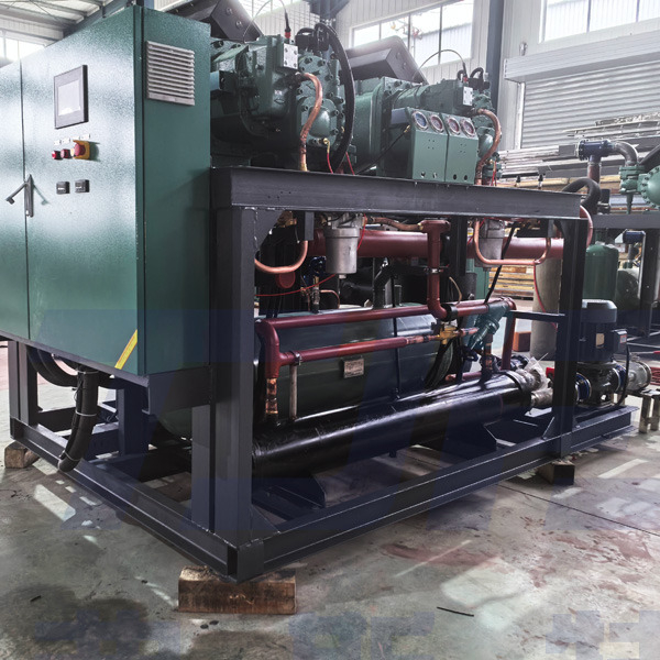 PRIMI Compressori A CATENA DEL FREDDO Unit&agrave; Parallele | Refrigerazione con congelatore IQF