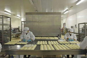 فوری کولنگ فوڈ پروسیسنگ کے لیے چائنا ہائی کوالٹی FYW300 ٹنل کولر