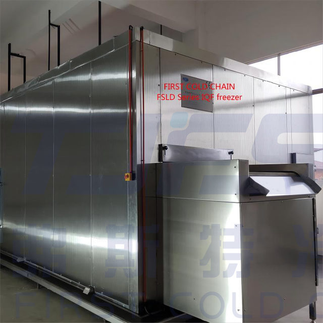 Karanasan ang hindi pa naganap na Frozen na Kalidad ng Pagkain: Kasosyo sa unang mga eksperto sa malamig na chain ng China para sa fluidized bed IQF freezer para sa mga prutas na nag -freeze