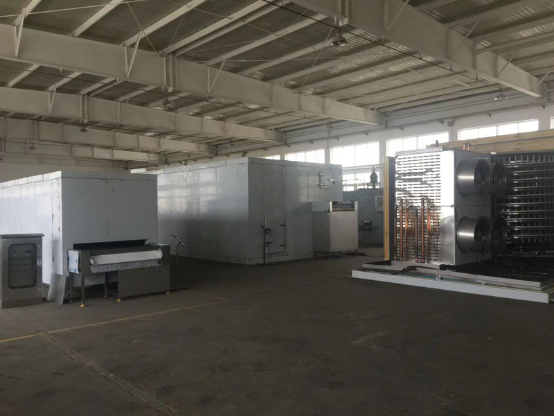 中國首位台冷鏈流化床速凍機 200-5000kg/h 用於冷凍蔬菜和水果