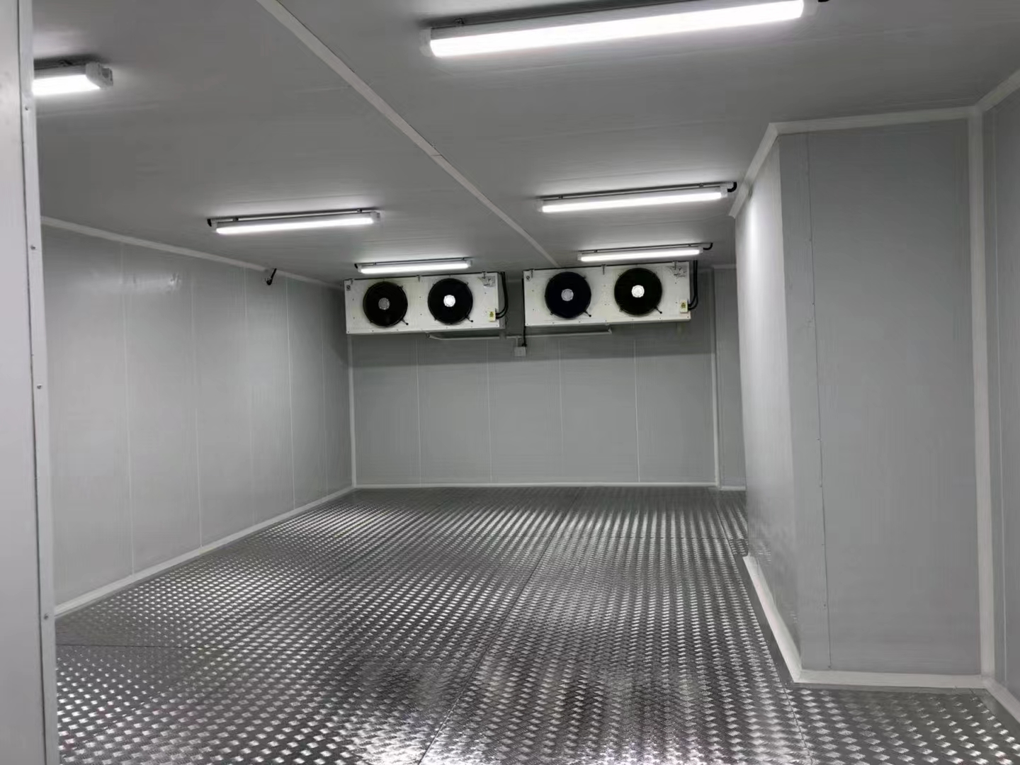 Cold Room/Cold Storage with Bitzer Refrigerator Compressor Unit for Food Storage 
