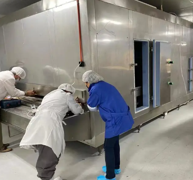 炸食品的專業隧道冷卻器