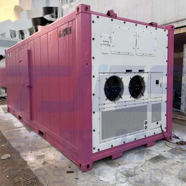 Primul congelator de explozie cu lanț rece / Move Tip Blast Congelator 20 picioare -40 ℃ Congelator de tip container