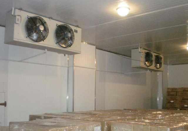 Medium Size Cold Room/Storage for Chiller//Refrigerator/Freezer